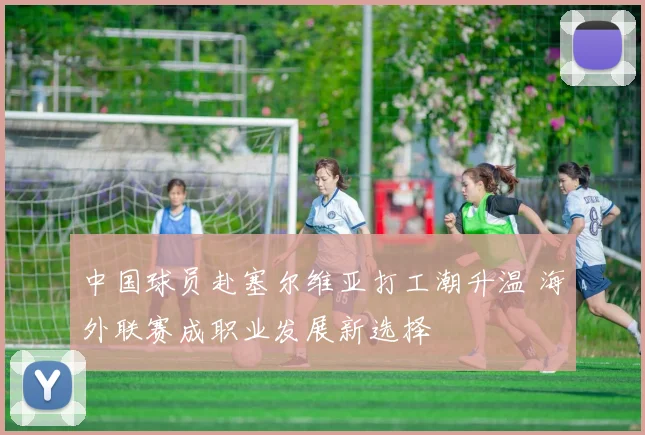 中国球员赴塞尔维亚打工潮升温 海外联赛成职业发展新选择