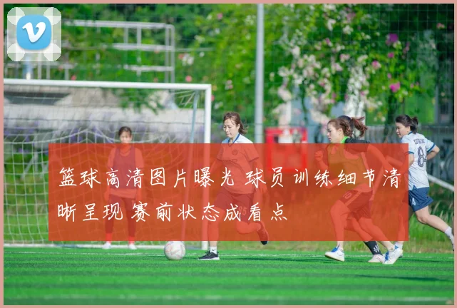 篮球高清图片曝光 球员训练细节清晰呈现 赛前状态成看点